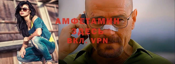 стаф Арсеньев