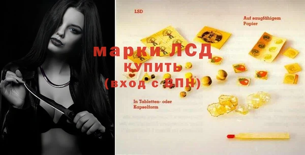стаф Арсеньев