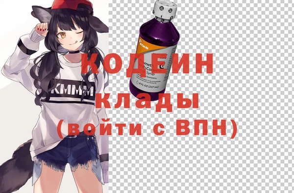 прущие грибы Армянск