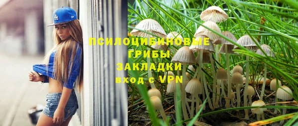 стаф Арсеньев