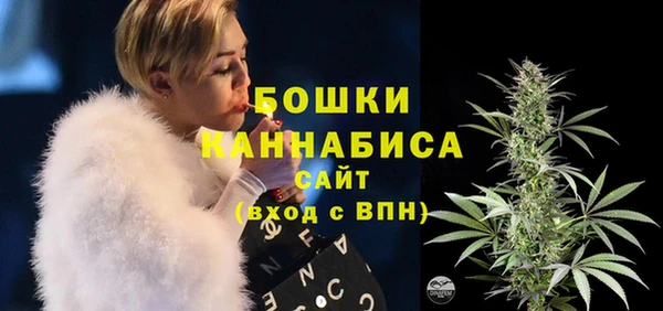 стафф Новокубанск